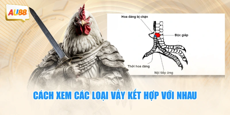 Cách xem các loại vảy kết hợp với nhau
